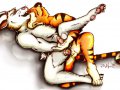 rabbittiger_vcl2.jpg
